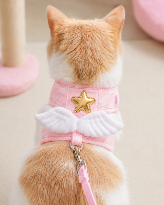 Winged Cat Harness Set