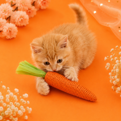 Fresh Picked Carrot Chew Toy