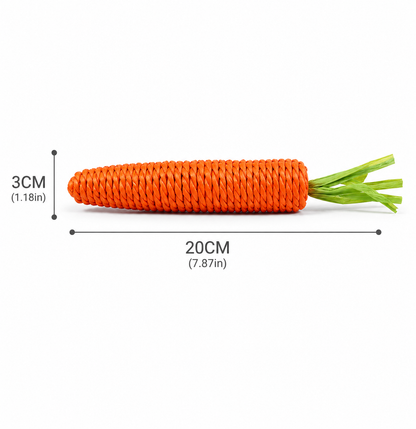 Fresh Picked Carrot Chew Toy